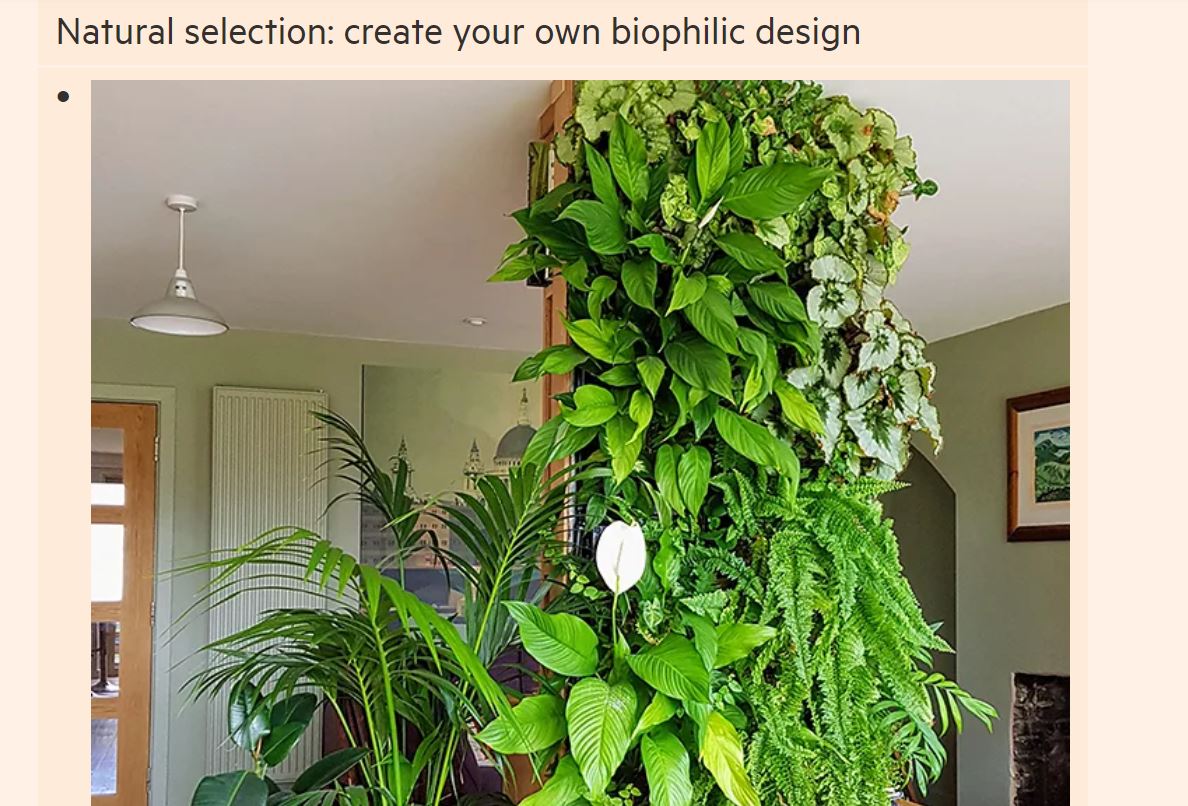 How biophilic design brings the outdoors in