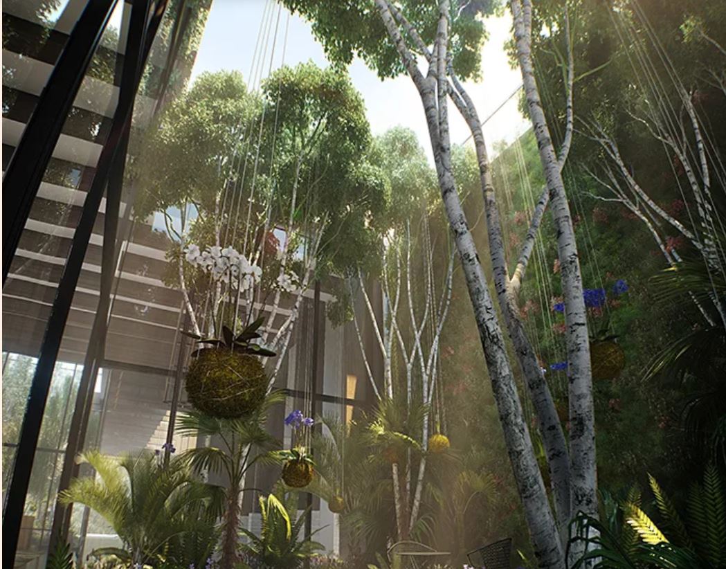 How biophilic design brings the outdoors in