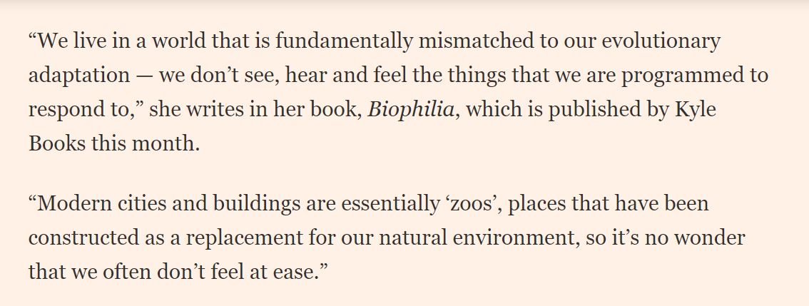 How biophilic design brings the outdoors in