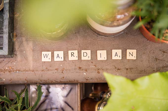 Wardian hosts a series of botanical afternoon teas